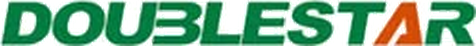 Logo Doublestar